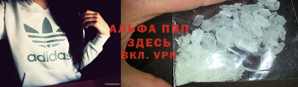 спиды Абаза