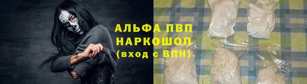 спиды Абаза