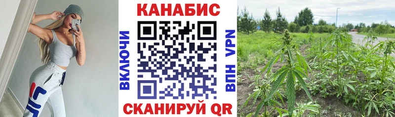 Канабис конопля  как найти наркотики  Алагир 